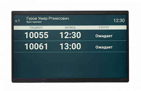 Профессиональный дисплей QB24C-E
